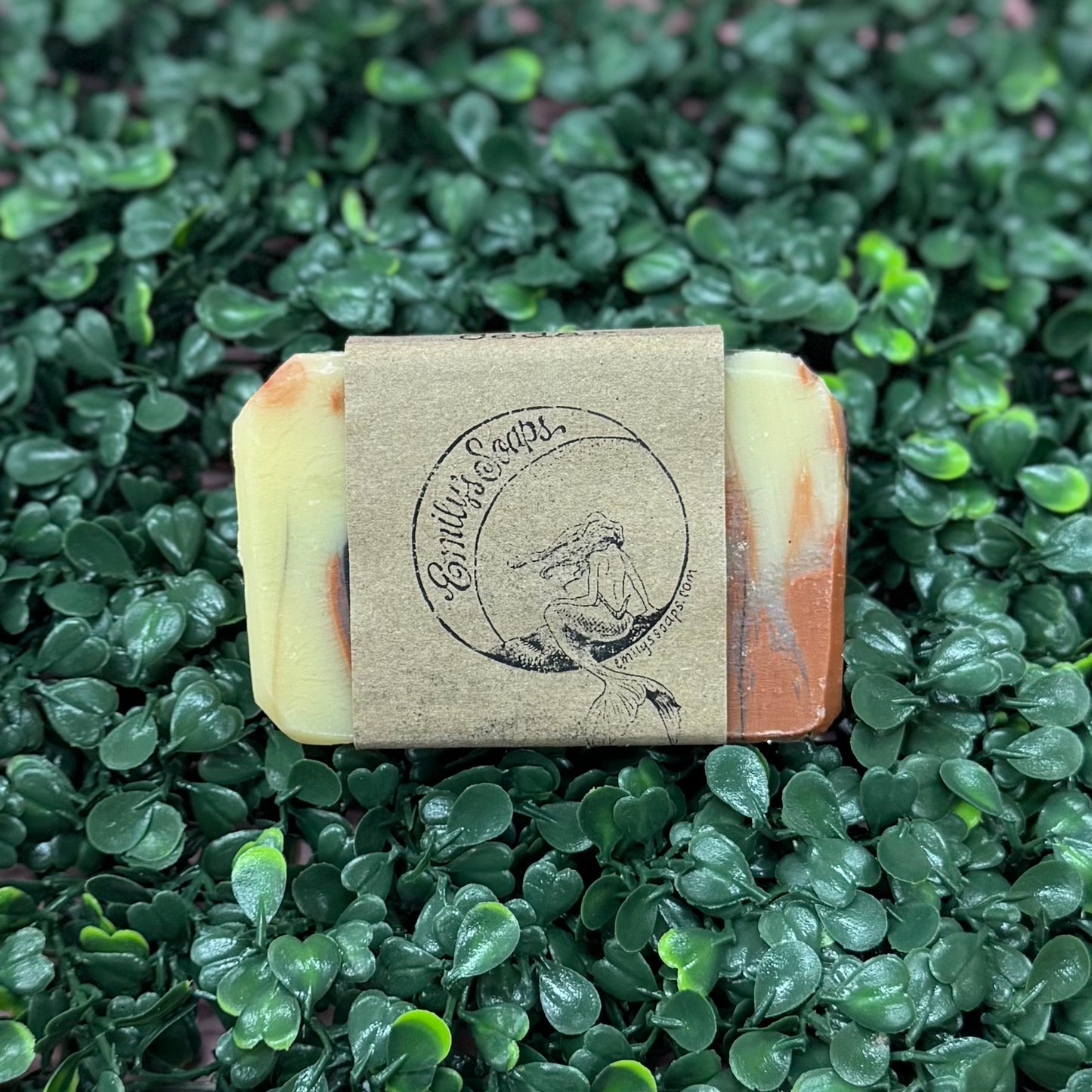 Follow The Cedar Soap