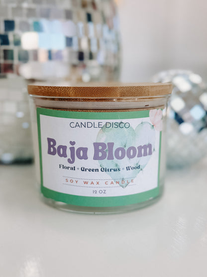 Baja Bloom